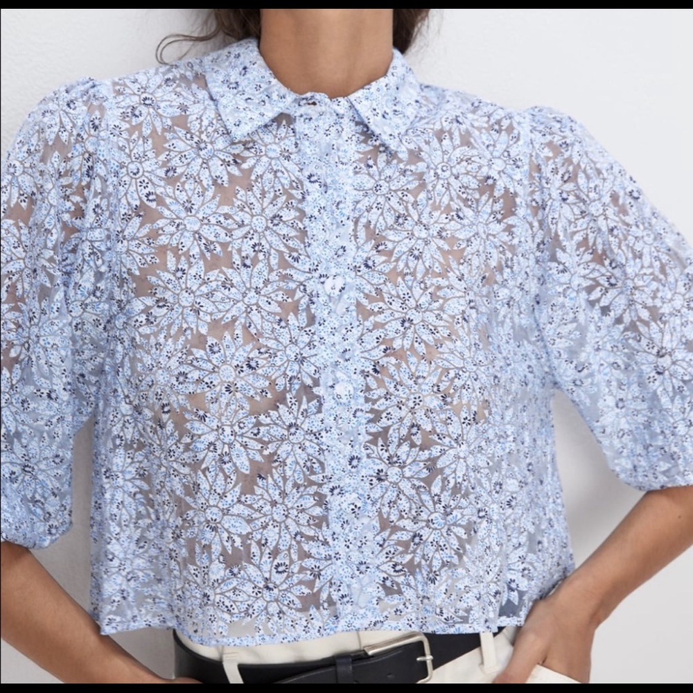 Zara Blue Floral Organza Blouse.